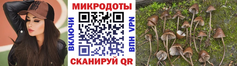 гидра ссылка Майский Галлюциногенные грибы мухоморы