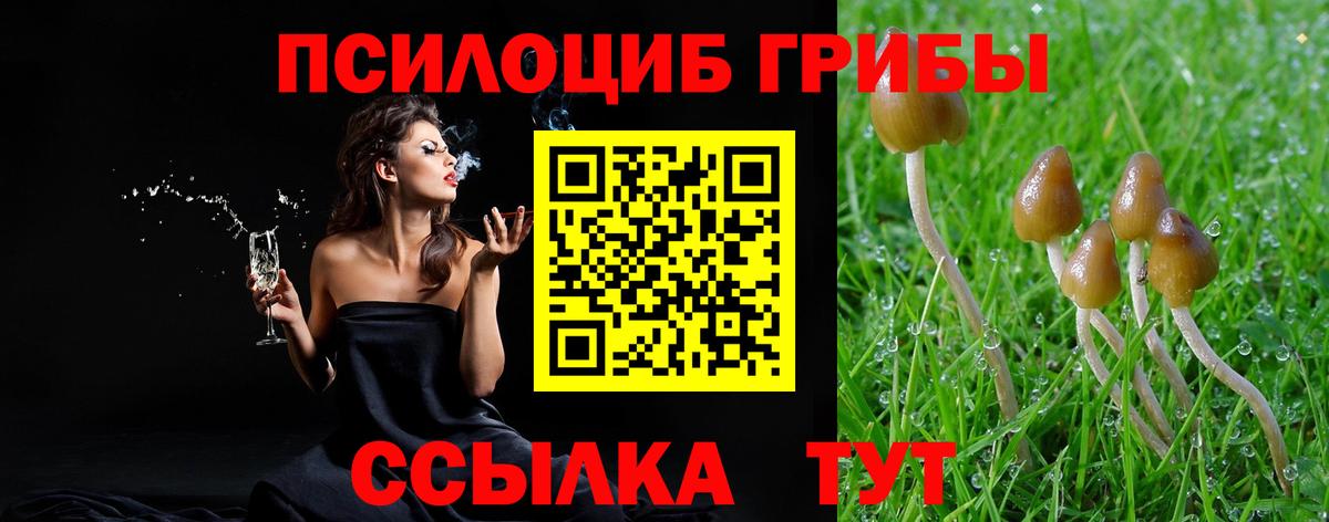 Майский  Галлюциногенные грибы мицелий  купить закладку  Вход с VPN 